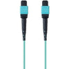 Belkin Fiber Optic Network Cable