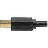 Tripp Lite USB C to Mini DisplayPort 4K Adapter Cable USB Type C to mDP, USB-C, USB Type-C Thunderbolt 3 Compatible 6ft 6'