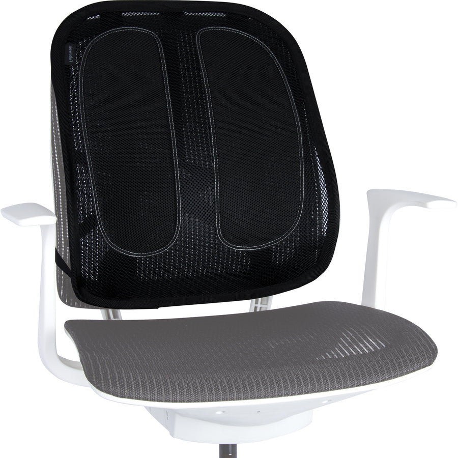 FELLOWES MANUFACTURING Fellowes Mfg. Co. Seat Cushion & Reviews