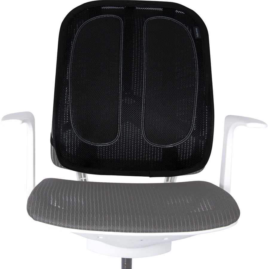 FELLOWES MANUFACTURING Fellowes Mfg. Co. Seat Cushion & Reviews